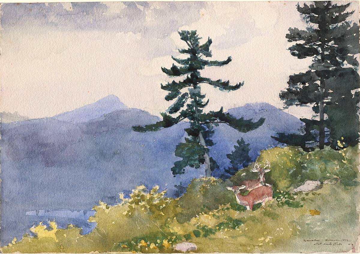 North Woods Club, Adirondacks (The Interrupted Tete-a-Tete) by Winslow Homer