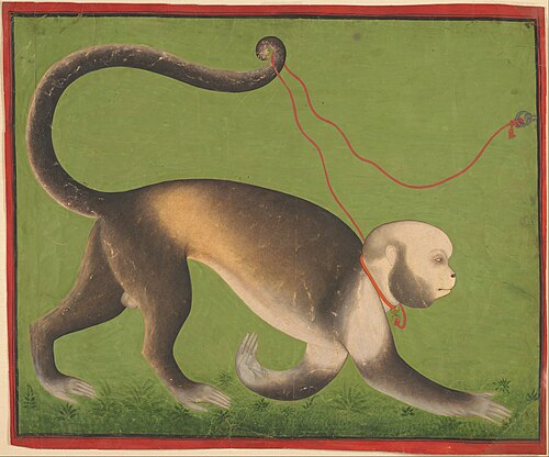 A Monumental Portrait of a Monkey by Unknown artist